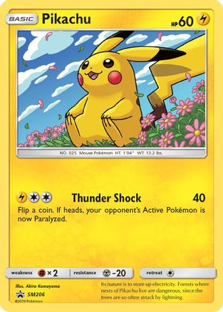 Pikachu SM206/248 - Holofoil SM Promos - Promo