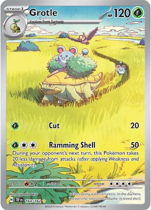 Grotle 164/162