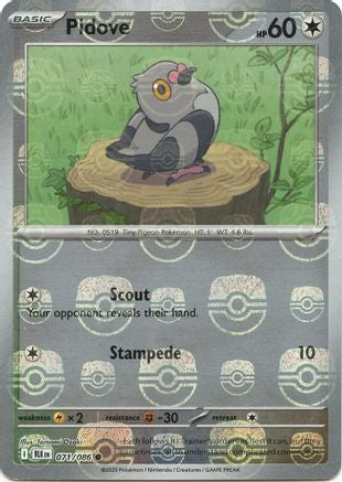 Pidove (Master Ball Pattern) 071 - Holofoil SV Black Bolt - Common
