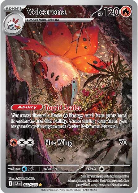 Volcarona - 100/086 - SV: Black Bolt (BLK)