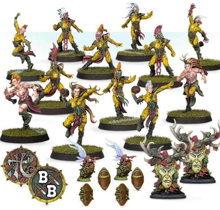 Warhammer: Wood Elf Blood Bowl Team – Athelorn Avengers