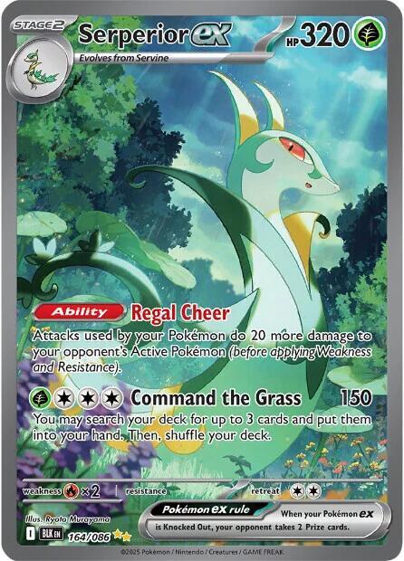 Serperior ex - 164/086 - SV: Black Bolt (BLK)