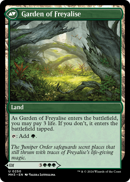 Disciple of Freyalise (MH3-250) - Modern Horizons 3